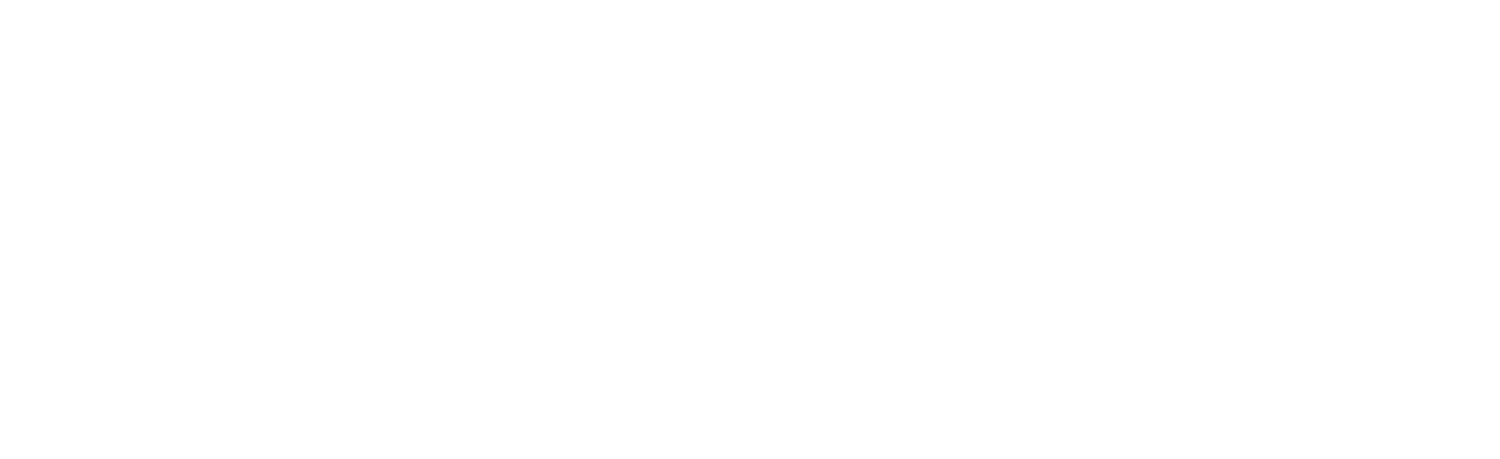 Naviro Logo